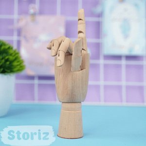 Модель деревянная "Рука" 21,5 см