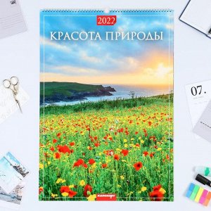 Календарь перекидной на ригеле "Красота природы " 2022 год, 42х60 см