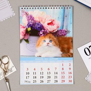 Календарь на пружине без ригеля "Котята" 17х25 см, 2022 год