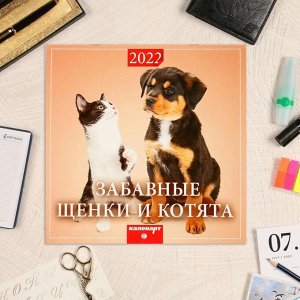 Календарь, перекидной, скрепка "Забавные Щенки и Котята" 2022 год, 22,5х22,5 см