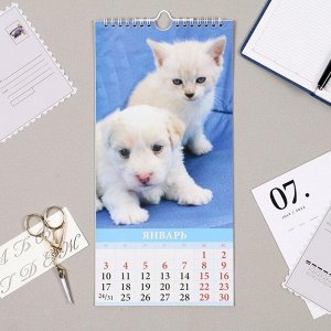 Календарь перекидной на ригеле "Щенки и котята" 2022 год, 16,5х33,6 см
