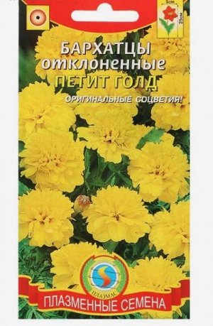 Семена цветов Бархатцы отклоненные "Петит Голд", 45 шт.