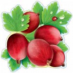 Украшение на скотче &quot;Крыжовник&quot;