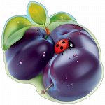 Украшение на скотче &quot;Слива&quot;