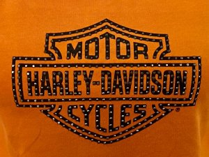 Женская кофта реглан Harley-Davidson – микс приталенной женственности и мото-бунтарства №2013