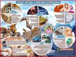 Плакат &quot;Горные породы и полезные ископаемые&quot;