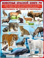 Плакат &quot;Животные красной книги РФ&quot;