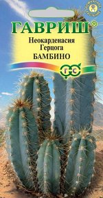 Цереус перуанский Бамбино* 5 шт. Н20