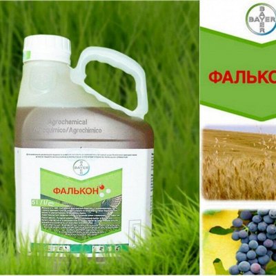 Фалькон — боремся с грибковыми инфекциями 460р/100мл
