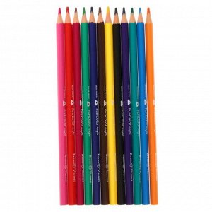 Карандаши цветные 12 цветов FunColor, пластиковые, трёхгранные, МИКС