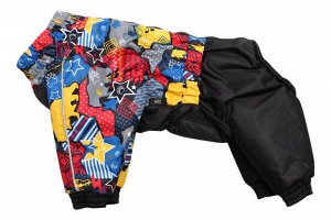 Комбинезон утепленный Style унисекс р.S, спинка 28см LION