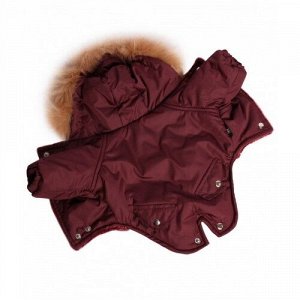 Комбинезон утепленный Winter парка р.S, спинка 25см с капюшоном LION красно-коричневый