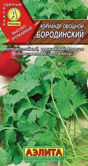 Кориандр овощной Бородинский (Кинза)