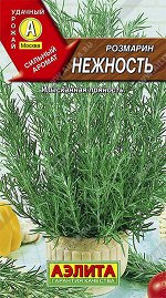 Розмарин Нежность