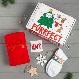 Набор подарочный Purrfect плед, носки, 2 игрушки, открытка