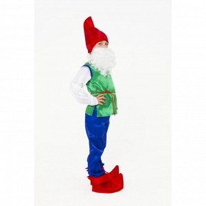 Карнавальный костюм «Гном», текстиль, размер 26, рост 104 см