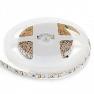 Светодиодная лента Apeyron Electrics 2 м, IP20, SMD3528, 60 LED/м, 4.8 Вт/м, 12 В, 6500К