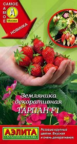 Семена ягод и ягодных кустарников