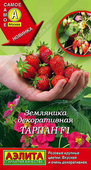 АЭЛИТА - Огромный выбор семян овощей, ягод, цветов, зелени — Семена ягод и ягодных кустарников