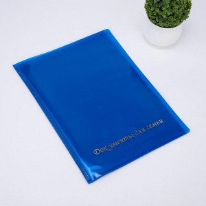 Папка для семейных документов, 4 комплекта, цвет синий 7330800