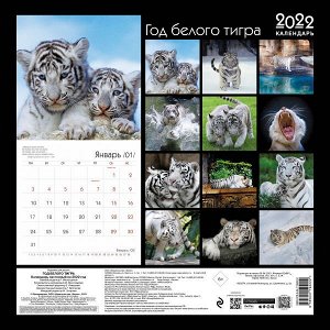 Год белого тигра. Календарь настенный на 2022 год (300х300 мм)