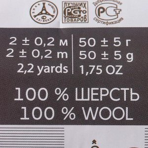 Шерсть для валяния 100% полутонкая шерсть 50гр (567 Т.фиалка)
