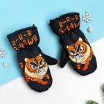Рукавицы (варежки) зимние KAFTAN &quot;Тигр&quot; р-р 14 (5-6 лет), черный