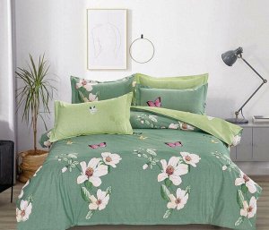 Комплект постельного белья Евростандарт, поплин (Цветущий сад)