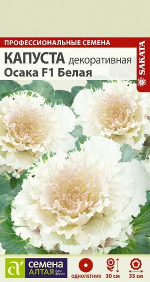 Цветы Капуста Осака белая декоративная/Сем Алт/цп 10 шт.