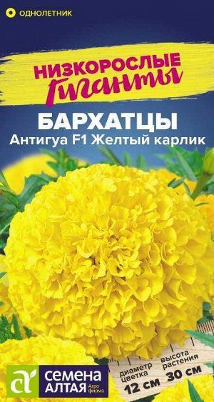 Цветы Бархатцы Антигуа Желтый карлик/Сем Алт/цп 5 шт. Низкорослые гиганты