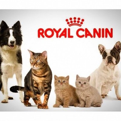 Royal Canin, Bosch, влажники, наполнители.