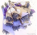 Букет из лаванды высота 15-18 см. (150 веточек)