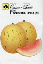 Дыня Фестиваль Оранж  (сортотип медовая роса)