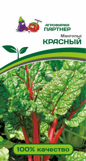 Мангольд Красный