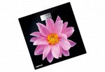 Весы напольные Centek CT-2416 (Pink Flower) электронные 180кг, 0,1кг, LCD 45x28, размер 26х26см