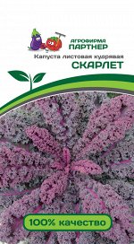 Капуста листовая кудрявая Скарлет