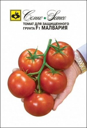 СЕМКО Томат Малвария F1 / Раннеспелые гибриды с округлыми плодами массой свыше 250 г (БИФ-томаты)
