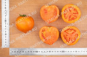 ПАРТНЕР Томат Золотая Миля F1 ( 2-ной пак.) / Гибриды томата с желто - оранжевыми плодами