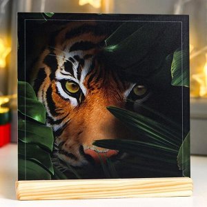 Сувенир настольный "Взгляд тигра" 20х21х3 см