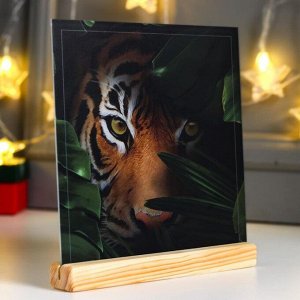 Сувенир настольный "Взгляд тигра" 20х21х3 см