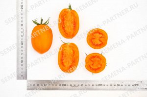 ПАРТНЕР Томат Оранжевый Папа F1 (2-ной пак.) / Гибриды томата с желто - оранжевыми плодами