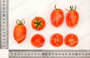 ПАРТНЕР Томат Пламя F1 ( 2-ной пак.) / Гибриды томата с необычной формой плодов