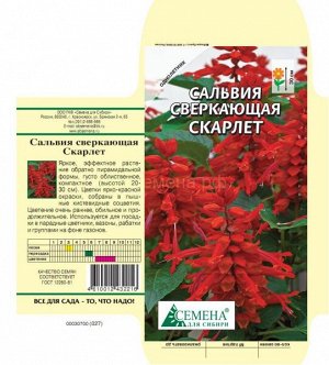 Сальвия Скарлет сверкающая, 0,05г (цв.)