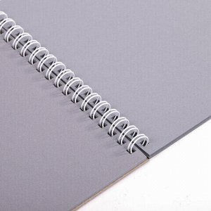 Скетчбук, серая бумага 120 г/м2, 170х195 мм, 30 л., гребень, подложка, цветная фольга, "Одуванчик", 98672