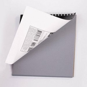 Скетчбук, серая бумага 120 г/м2, 170х195 мм, 30 л., гребень, подложка, цветная фольга, "Одуванчик", 98672
