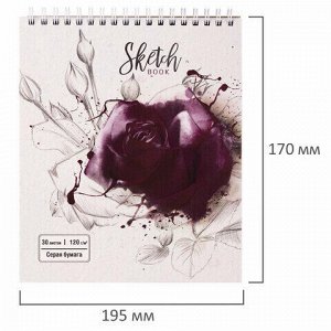 Скетчбук, серая бумага 120 г/м2, 170х195 мм, 30 л., гребень, подложка, цветная фольга, "Роза", 98702