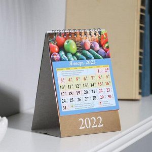 Календарь настольный, домик "Сад и огород. Лунный календарьрь" 2022 год, 10х14 см