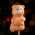 Карамель на палочке &quot;Новогодний в ассортименте&quot;, тигр оранжевый, 22 г