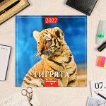 7372946, Календарь, перекидной, скрепка &quot;Символ года. Вид 4&quot; 2022 год, 22,5х22,5 см