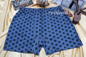Трусы мужские семейные х/б 100% р-р 48-56 Арт. PRISTIJ (без пуговиц) (к.6770)